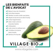 Les Bienfaits De L Avocat Aliments Bons Pour La Sante Alimentation Et Sante Alimentation Saine Pour La Sante