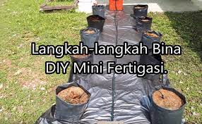 Pemasangan pam air untuk tanaman fertigasi. Begini Cara Bina Diy Sistem Mini Fertigasi Untuk 10 20 Polibeg Mudah Jimat My Info Berita