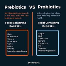 Prebiotics vs. Probiotics: Key Differences and Gut Health Explained