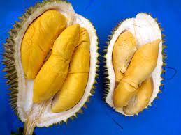 Check your local asian market. 3 Places To Eat Durian In Batu Ferringhi Penang Year Of The Durian
