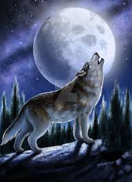 Photoshop Cs2 Illustration For Book Of Wolves For Q2a Media Howling Wolf Wolf Howling At Moon Howling Wolf Tattoo Wolf Art