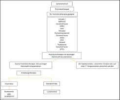 Https Dag Kbt De Files Downloads Leitlinien Auto Kap 2 1 Multiples 20myelom Pdf