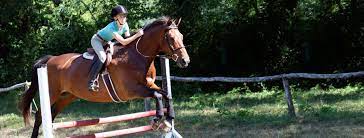 Providing quality horse camp riding programs, & building confidence, our summer and march break horse camps follow cha, ec, and oec guidelines. Horseback Riding Activity Girls Summer Horse Camps Rockbrook Camp