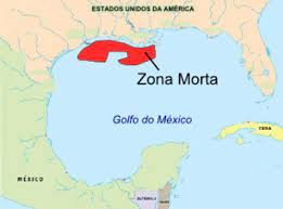 Leia mais matérias no site da sputnik brasil. Zona Morta Do Golfo Do Mexico Brasil Escola