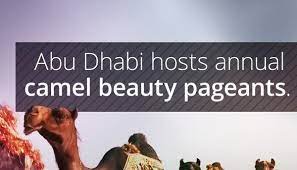 Over the week preceding the pageant, tents rise on the high dunes outside the desert city of madinat zayed, as. From Camels To Geopolitics Why Even In 2016 We Care About Pageants Amp Amp What They Say About Us By Abigail Posner Linkedin