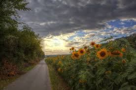 Porta Westfalica Summer Sunset 4 By Blavandmaster Via Flickr Summer Sunset Country Roads Pathways