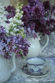 Aiken House Gardens For The Love Of Lilacs Lilac Flowers Beautiful Flowers Lilac