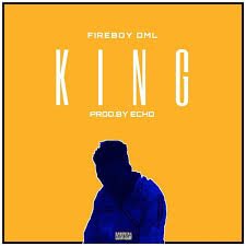 Fireboy Dml King Instrumental Mp3 Download 9tunez
