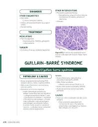 Maramattom et al in annals of neurology. Guillain Barre Syndrome Osmosis