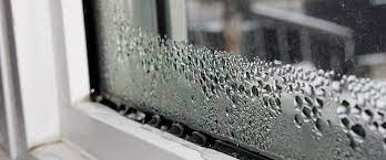 Then hang up your towel so it can dry instead of clumping it on the floor or in a laundry basket in your closet where mold can grow. 10 Easy Ways To Prevent Mould Growing In Your Home
