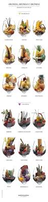 Italy Wine Italywine Italywines Wine Recipes Aromas Wine Drinks