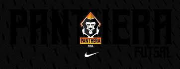  Branding Panthera Futsal Nike Concept On Behance Panthera Branding Concept