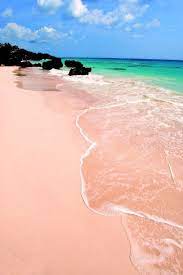 Philippine Tourist Attractions Pink Beach Places To Go Places To Travel Places To Visit