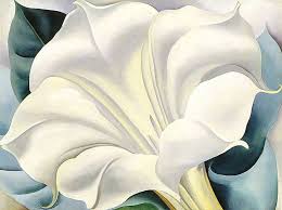 The White Flower 1932 By Georgia O Keeffe Georgia Okeefe O Keeffe Paintings Georgia O Keeffe Paintings