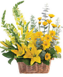 Whatever it is you're looking for; Father S Day Flowers San Rafael Ca Burns Florist