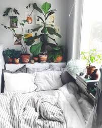 68 Bedroom With Plants Ideas Bedroom Inspirations Bedroom Decor Bedroom Design However, if you're growing lithops in a tropical climate, keep them in a location that receives filtered sunlight. 68 bedroom with plants ideas bedroom
