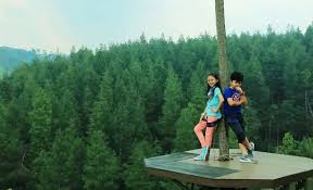 Harga tiket masuk ke jendela alam sangat terjangkau yakni rp 15.000. 54 Tempat Wisata Di Bandung Paling Hits 2021