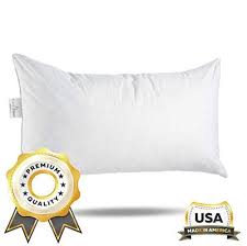 Comfydown 95 Feather 5 Down 16 X 26 Rectangle Decorative Pillow Insert Sham Stuffer Mad In 2020 Decorative Pillows Pillows Pillow Inserts