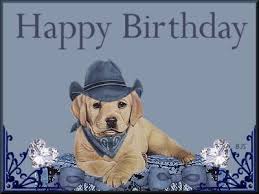 See more ideas about cowboy birthday, dallas cowboys birthday, dallas cowboys. Western Birthday Quotes Funny Quotesgram