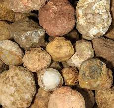 10 Pounds Of Whole Natural Unopened Geodes From The Heart Of Central Kentucky Contents Could Be Agate Quartz Chalcedony C Geode Crystals Rocks And Minerals