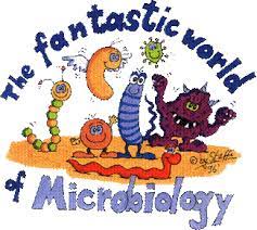Lab Week Microbiology Lab Week Lab