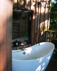 Profile for Beneath The Branches