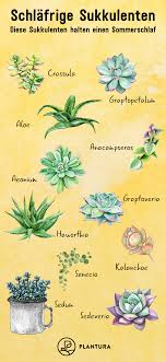 It also houses a botanic library, a herbarium and the international organizations for succulent plant research (ios). Sukkulentenarten Die 10 Schonsten Winterharten Plantura In 2021 Sukkulenten Sukkulentenarten Sukkulenten Pflanzen