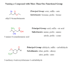 Please read the instructions below. How To Name A Compound With Multiple Functional Groups Chemistry Steps