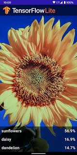 Check spelling or type a new query. Recognize Flowers With Tensorflow Lite On Android Beta