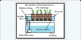You can absolutely build flood drain hydroponics on your own. Shows The Ebb And Flow Flood And Drain System Download Scientific Diagram