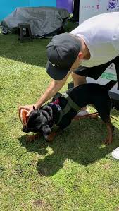 Jugando un poquito de football con Tomasa en #pretemporada pronto estará de  receptora para los #49ers