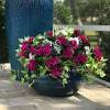 Silk flowers can also be called artificial flowers, fake flowers, faux flowers, plastic flowers, etc. 1