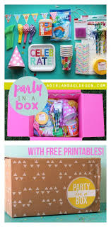 Birthday Party In A Box Pin On Gift Ideas
