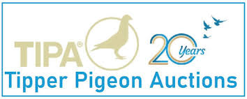 Flynn Waters Auction