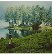 Gambar terkait dengan lukisan pohon cemara. 7 Ide Bandun Pemandangan Indonesia Foto Wisata