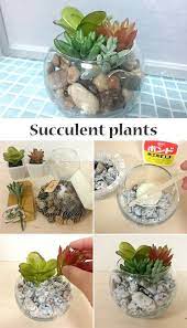 100均diy 夏にピッタリ 多肉フェイクグリーンを涼しげに寄せ植えしてみよう 寄せ植え 夏 グリーン 寄せ植え