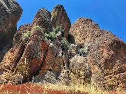 We did not find results for: Pinnacles National Park Peaks Condors And Talus Caves