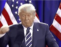 Search, discover and share your favorite donald trump gifs. An Authoritative Ranking Of The Top 10 Gifs Of Donald Trump S Campaign The Washington Post