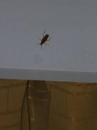 Os hóspedes adoram o estacionamento conveniente. èŸ'èž‚lipas Picture Of Hi Season Hotel Hat Yai Tripadvisor