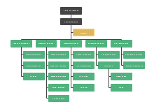 Management Organizational Chart Examples And Templates