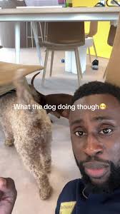 ¿Qué está haciendo el perro?