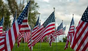 Veterans Day Shopping