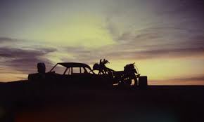 The last camel died at noon. Camels Sahara Overland