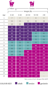 Dogs Age Conversion Chart Doberman Weight Chart By Age