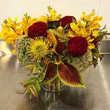 Send flowers to california from australia. Love For Pincushion Protea Shop Evantine