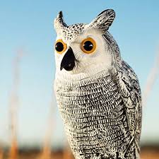 Bird scarecrow owl decoy garden pest animal repellent hot 360°rotating n0t2 k4j4. Bird Blinder Scarecrow Fake Owl Decoys Repellent Garden Protectors Small Set Of 3 Pricepulse