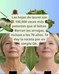 El laurel Las hojas de laurel son 100.000 veces más potentes que el bótox.  Borran las arrugas, incluso a los 70 años. Te doy la receta por un simple  Ok.