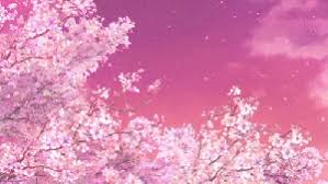 Falling sakura leaves on abstract blurred background. Sakura Flower Petals Falling Sakura Flower