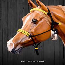See more ideas about paracord, paracord projects, paracord knots. Paracord Browband For Rope Riding Halters The Homestead Tack Shop