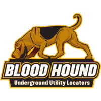 We did not find results for: Blood Hound Underground Utility Locators Linkedin